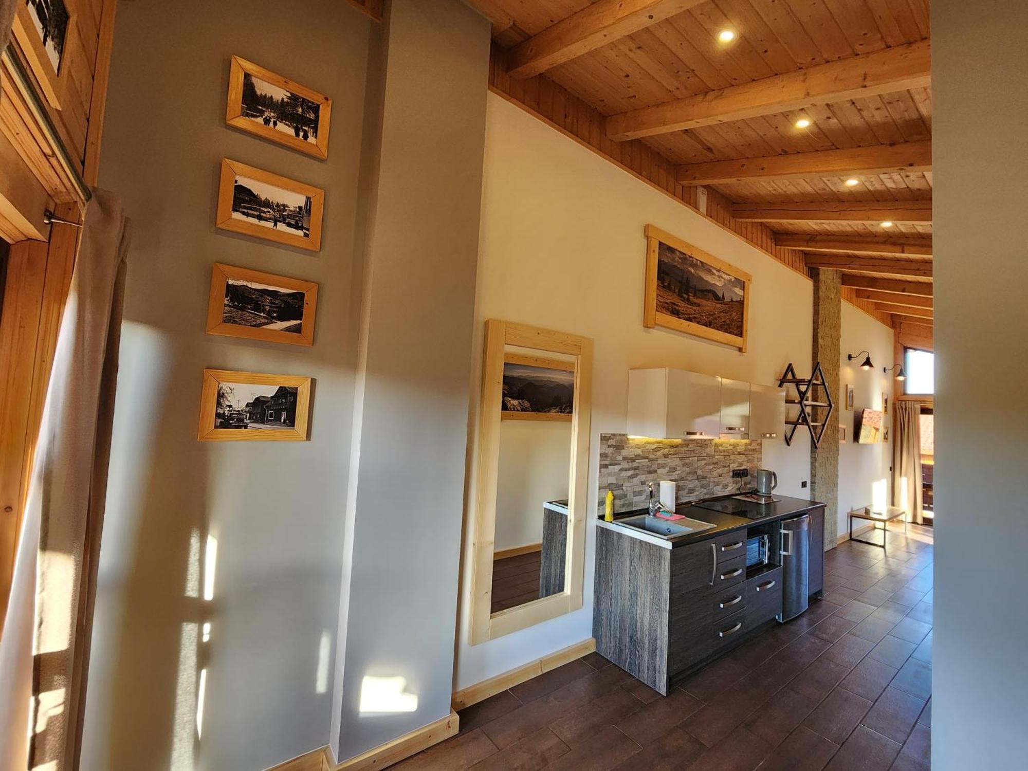 Apartments Chalet Girska Hatyna Vorokhta Dış mekan fotoğraf